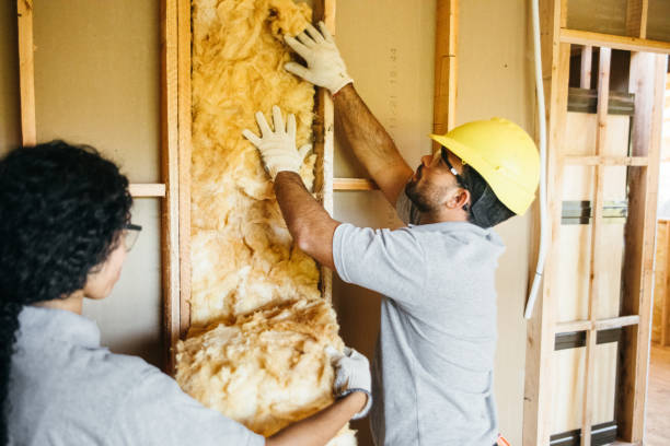 Best Home Insulation Services  in Braham, MN