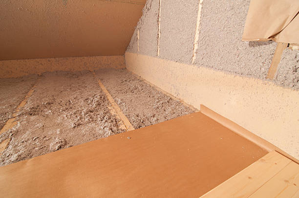 Best Affordable Insulation Services  in Braham, MN